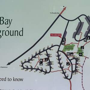 Lucky Bay Campground (Cape Le Grand)