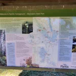 Info Board