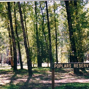 the Poplars