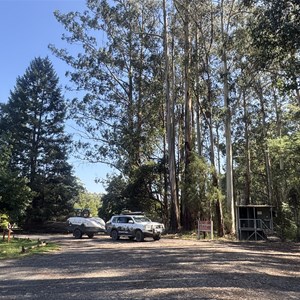 Powelltown Rest Area