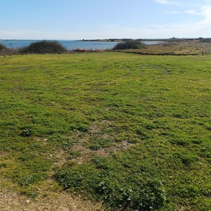 Mark Point Camp Area