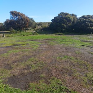 Mark Point Camp Area