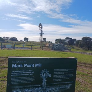 Mark Point Camp Area