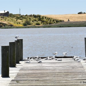 Nurrung Jetty Reserve