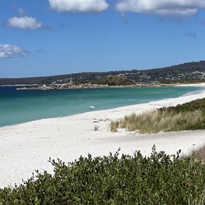 Swimcart Beach Campground