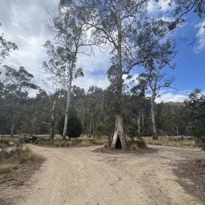 Trout Creek Reserve Camp Area