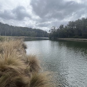 Trout Creek Reserve Camp Area