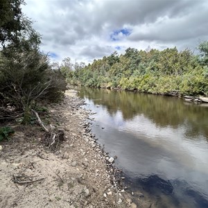 Griffin Park Camp Area