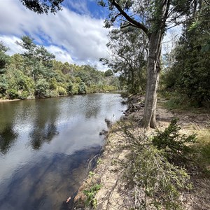 Griffin Park Camp Area