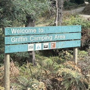 Griffin Park Camp Area