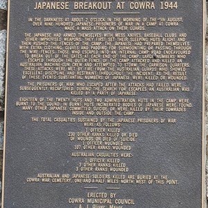 Plaque