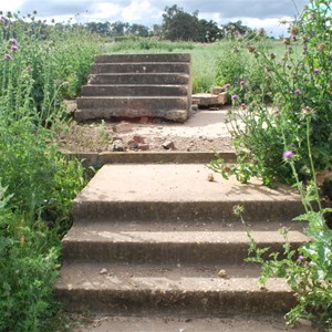 Steps