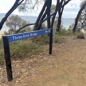 Mayfield Bay Campground