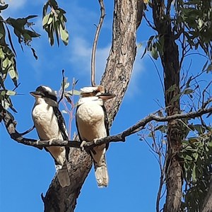 A happy couple