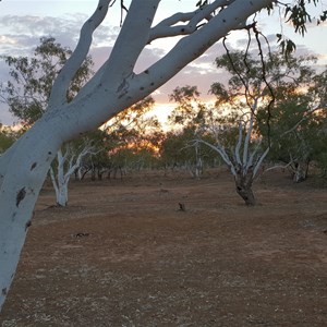 Sturt Creek Camp Area