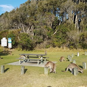 Beachside picnic area