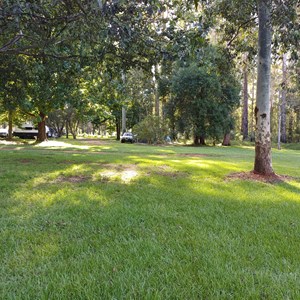 Coopernook Forest Park Camp Area