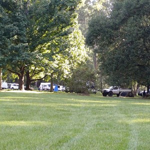 Coopernook Forest Park Camp Area