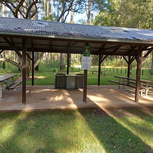 Coopernook Forest Park Camp Area