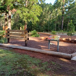 Coopernook Forest Park Camp Area