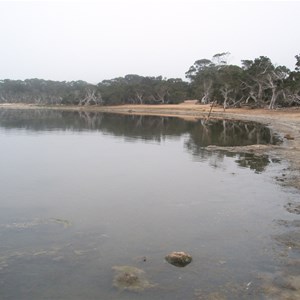 Millers Point reserve