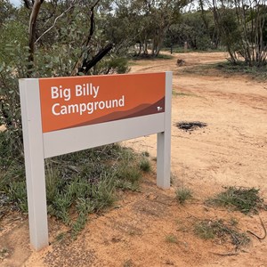 Billy Bore Camp