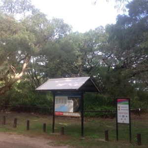 Torbay Inlet Camp Area