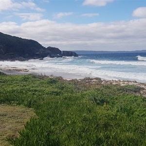 Shelley Beach