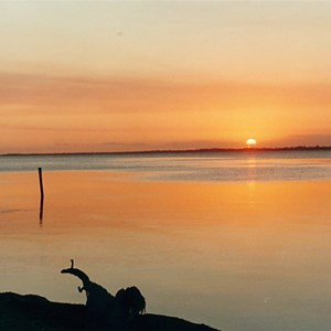Lake Victoria, Emu Bight