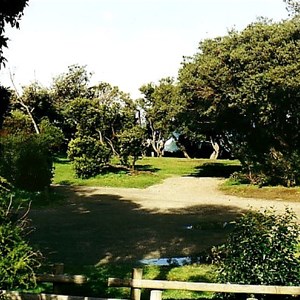 Bear Gully camp ground