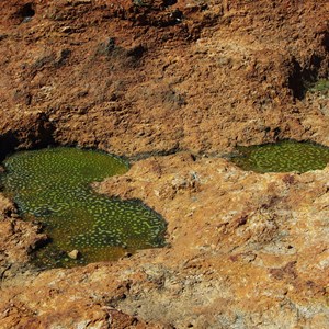 Beegull Waterholes