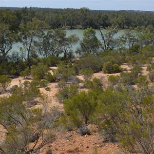 Murtho Forest Landing Camp Area