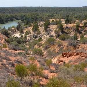 Murtho Forest Landing Camp Area