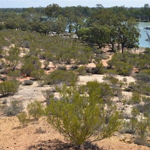 Murtho Forest Landing Camp Area