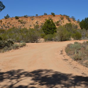 Murtho Forest Landing Camp Area