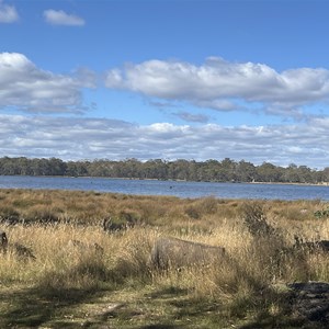 Ladys Walk Camp Area