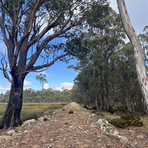 Ladys Walk Camp Area