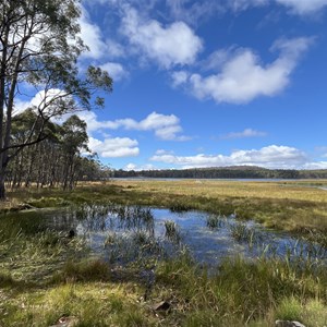 Ladys Walk Camp Area