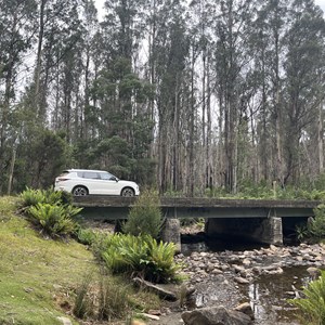 Arve River Picnic Area