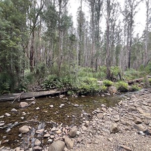 Arve River Picnic Area