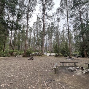 Arve River Picnic Area