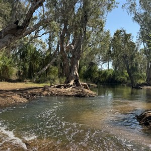 Savannah Way at Robinson River