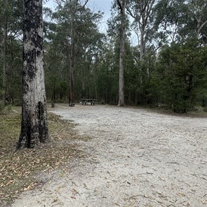 Bald Rock Campground