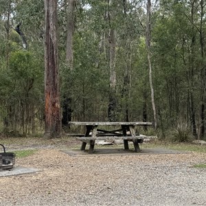Bald Rock Campground