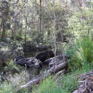 Donnelly River
