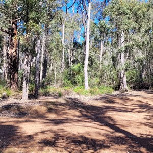 Jarrah Park Rest Area