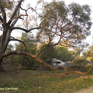 Belvidere Campground