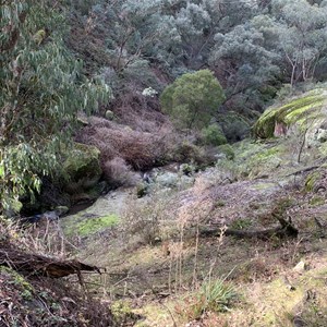 Cottontree Creek Campground