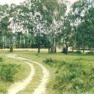 Burrowye Reserve