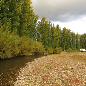 Riverbank scene